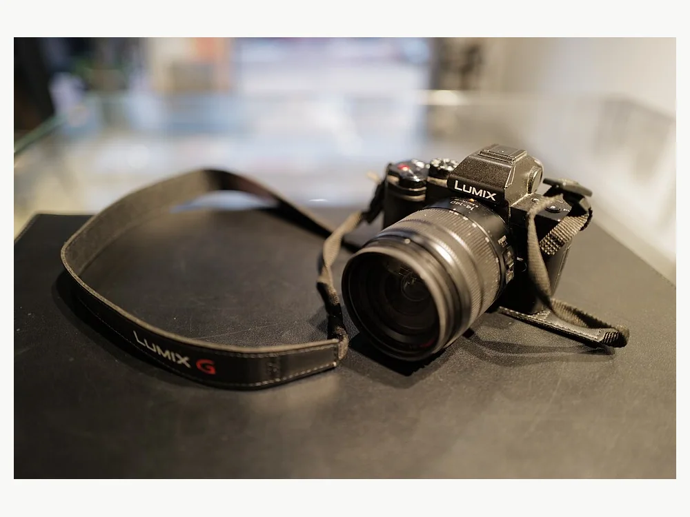 Panasonic Lumix Lumix G100