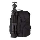 Tenba Shootout: Medium Backpack, photo 6