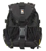 Ape Case ACPRO1800 Digital SLR and Netbook/Tablet Backpack, photo 1