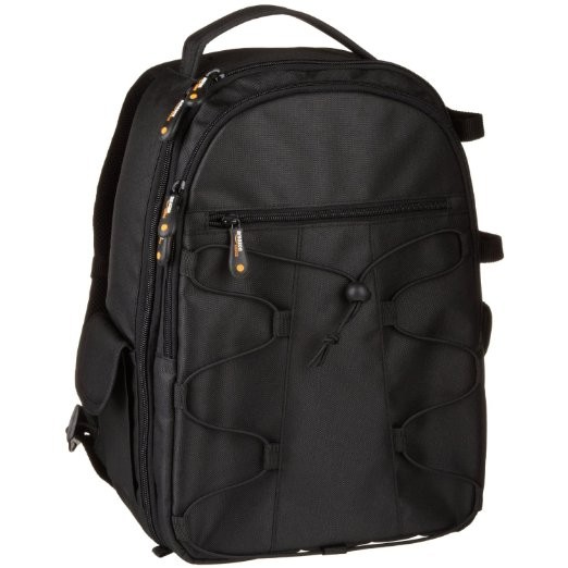 AmazonBasics Backpack for SLR/DSLR Cameras
