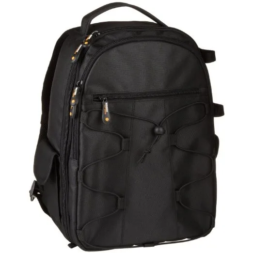 AmazonBasics Backpack for SLR/DSLR Cameras
