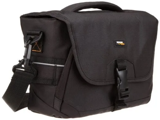 AmazonBasics Medium DSLR Gadget Bag