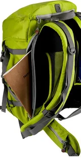Nest Explorer 300L backpack rear view in green