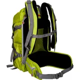 Nest Explorer 300L backpack rear view in green