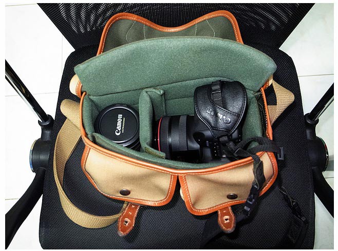 Billingham Hadley small, photograph by Guest