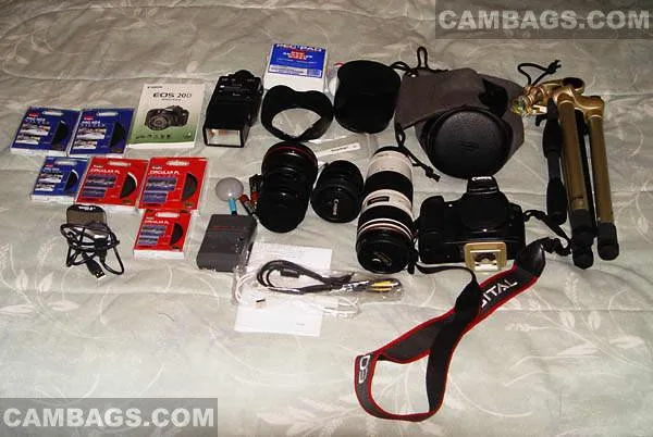 Canon 200EG, photograph by Guest, photo 3