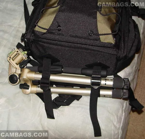 Canon 200EG, photograph by Guest, photo 4