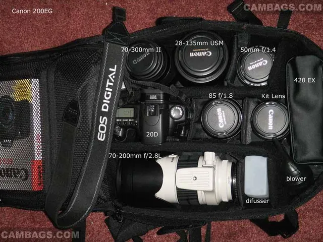 Canon 200EG, photograph by Guest, photo 1