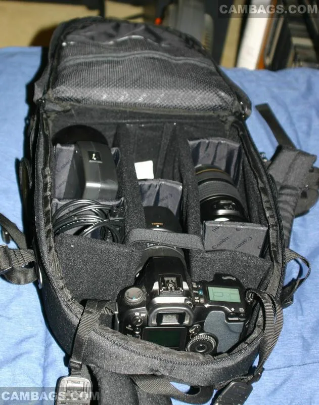 Canon 200EG, photograph by Guest, photo 1