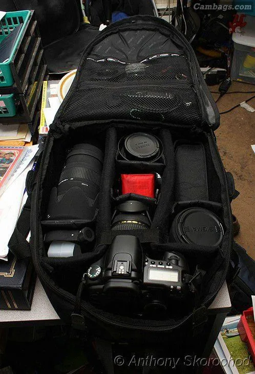 Canon 200EG, photograph by Guest, photo 3