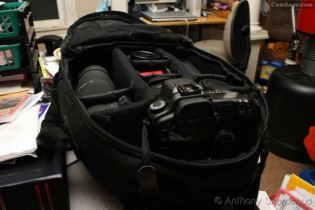 Canon 200EG, photograph by Guest, photo 4