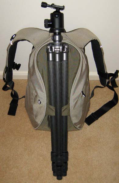 Crumpler keystone, photograph by Guest