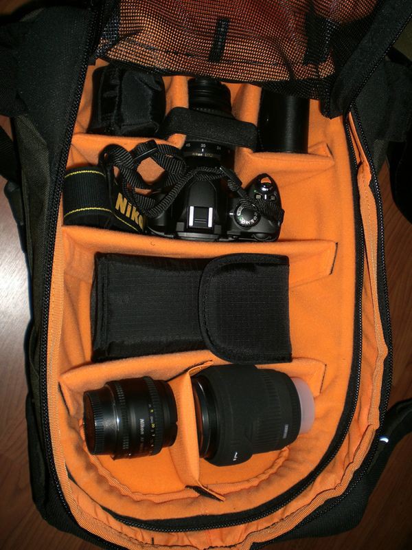 Crumpler keystone, photograph by Guest