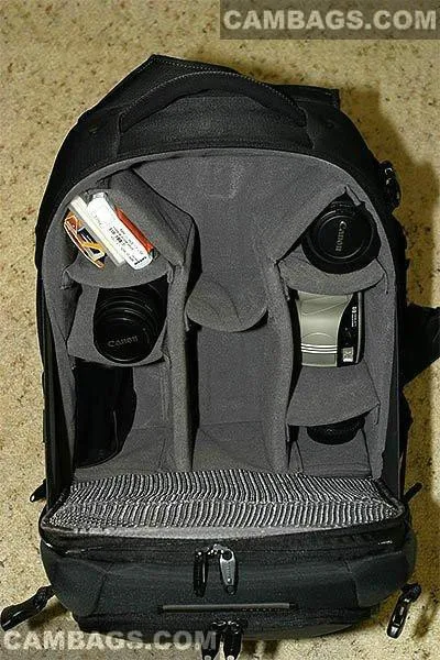 Delsey 33 Pro Digital Backpack, photograph by Guest, photo 2