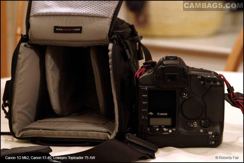 Lowepro TopLoader 75AW, photograph by Guest