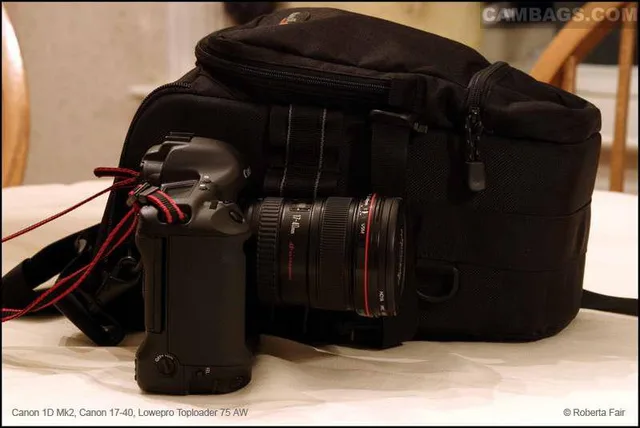 Lowepro TopLoader 75AW, photograph by Guest, photo 2