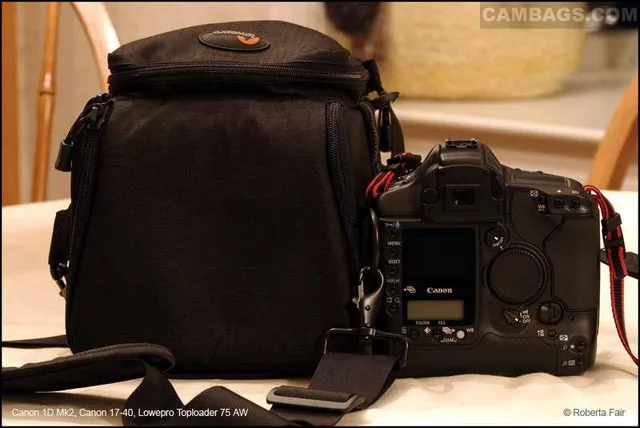 Lowepro TopLoader 75AW, photograph by Guest, photo 3