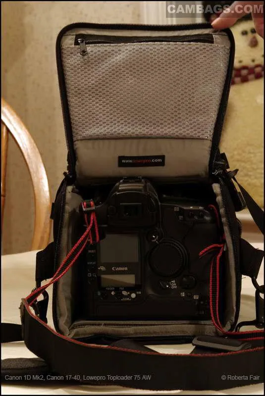 Lowepro TopLoader 75AW, photograph by Guest, photo 4
