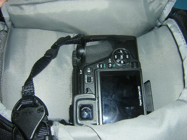 Lowepro Slingshot 200 AW, photograph by Guest, photo 1