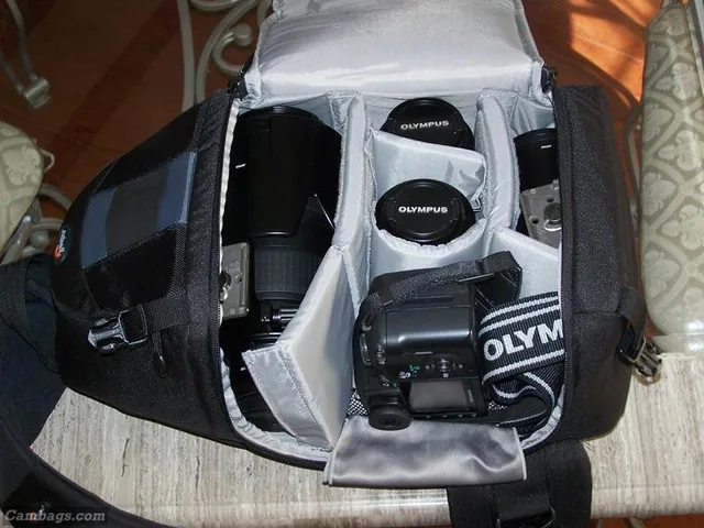 Lowepro Slingshot 200 AW, photograph by Guest, photo 2