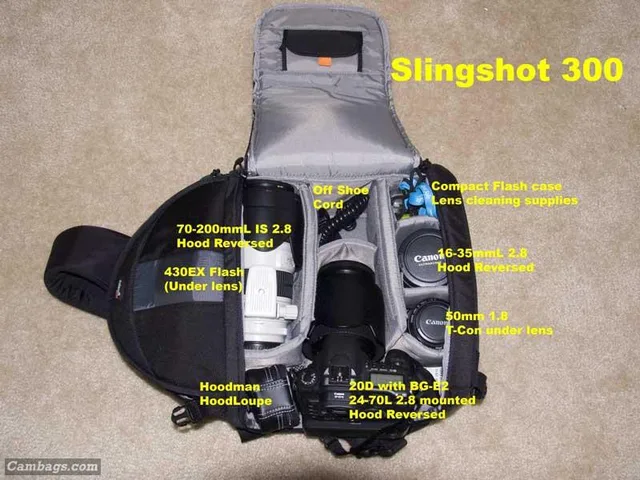 Lowepro Slingshot 300 AW, photograph by Guest, photo 5