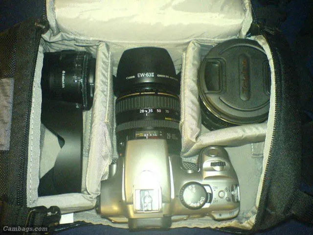 Lowepro Slingshot 100 AW, photograph by Guest, photo 1