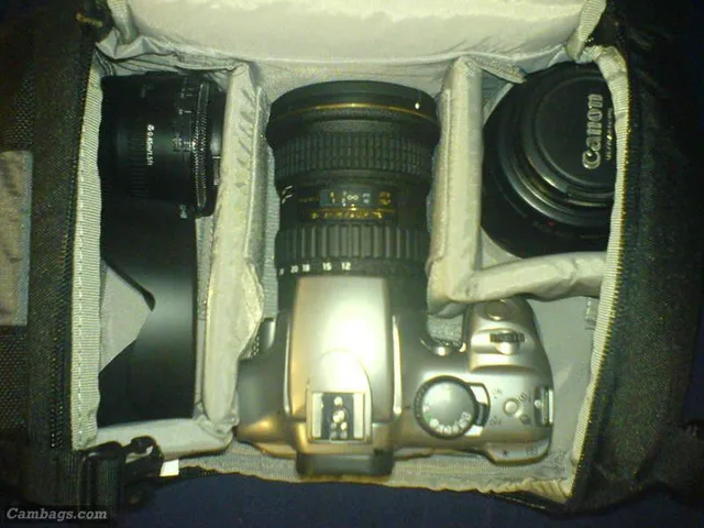 Lowepro Slingshot 100 AW, photograph by Guest, photo 2