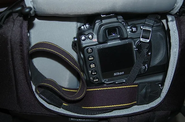 Lowepro Slingshot 300 AW, photograph by Guest, photo 1