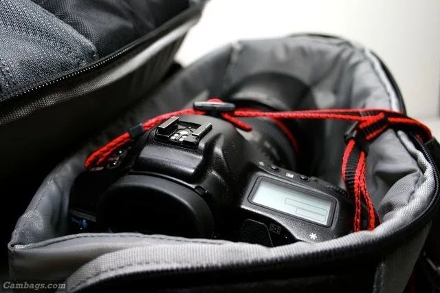 Lowepro CompuDaypack, photograph by Guest, photo 2