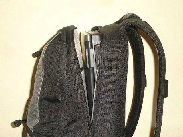 Lowepro CompuDaypack, photograph by Guest, photo 1