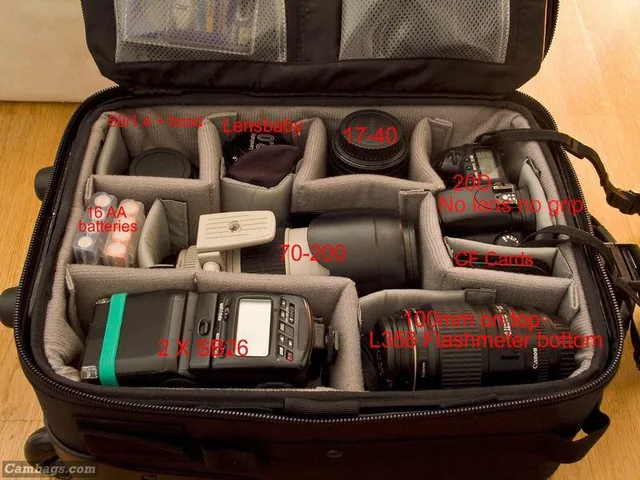 Lowepro Pro Roller Mini, photograph by Guest, photo 3