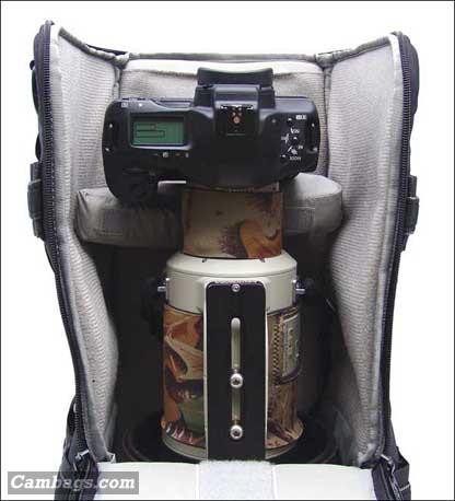 Lowepro Lens Trekker 600 AW, photograph by Guest