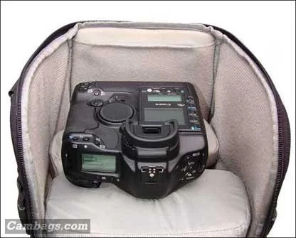 Lowepro Lens Trekker 600 AW, photograph by Guest, photo 5
