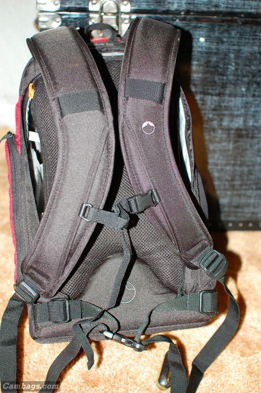 The straps are well padded, comfy and have lots of adjustability. There is a waist strap an sternum strap as well. There are also loops that can be used to attach accessory pouches from lowepro and others. I think that I will use it for a clip point for my ipod shuffle.