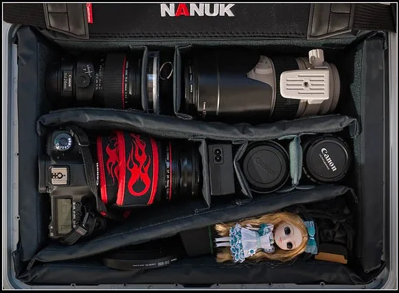 Nanuk 930, photograph by Guest, photo 1