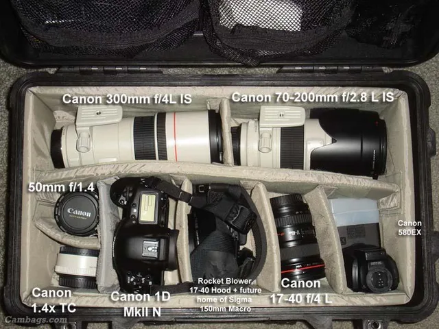 Pelican 1510 (1514 w/padded dividers), photograph by Guest, photo 1