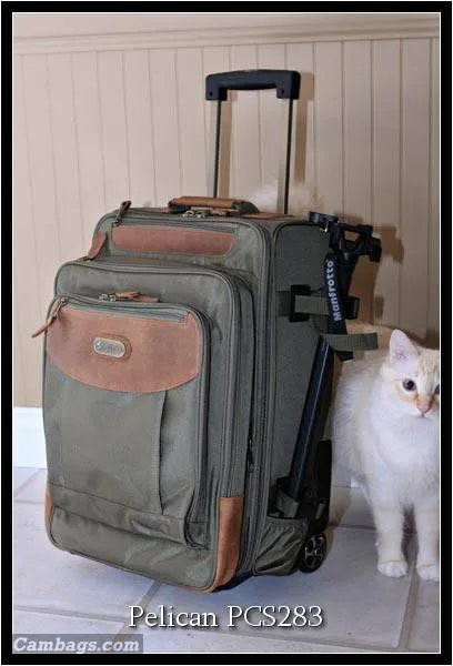 Pelican PCS283, photograph by Guest, photo 1