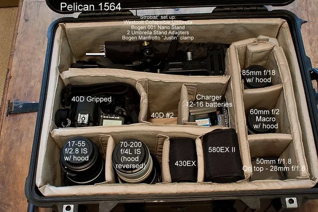 Pelican 1564, photograph by Guest, photo 3